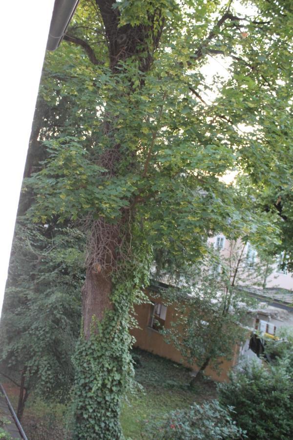 Mozart'S Garden Villa Залцбург Екстериор снимка